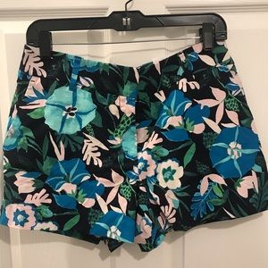 NWT Ann Taylor Loft Riviera Shorts